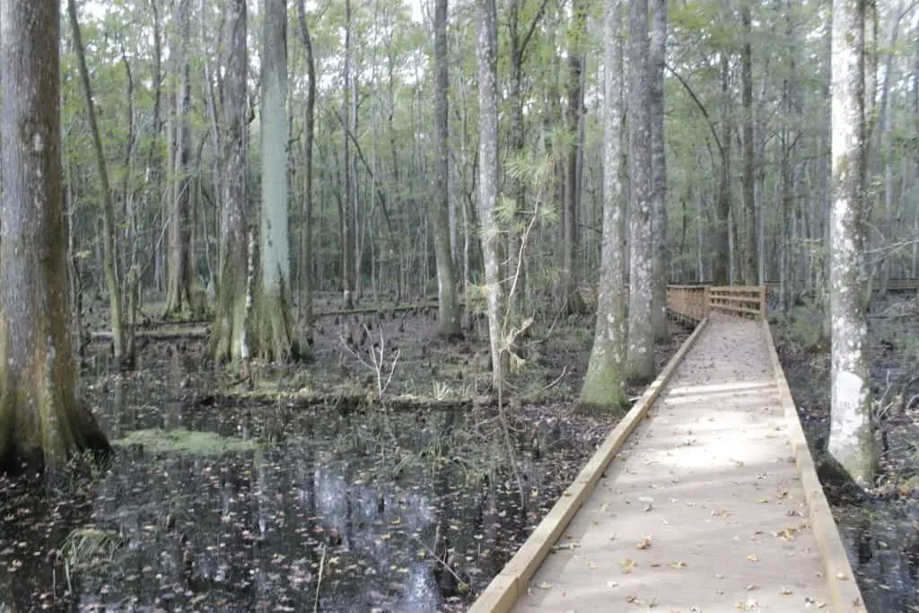 Caw Caw Interpretive Center - Charleston Crafted