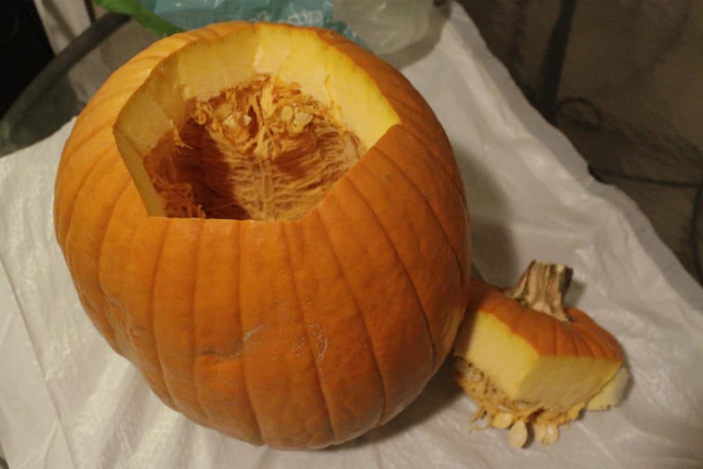 hollowed out pumpkin