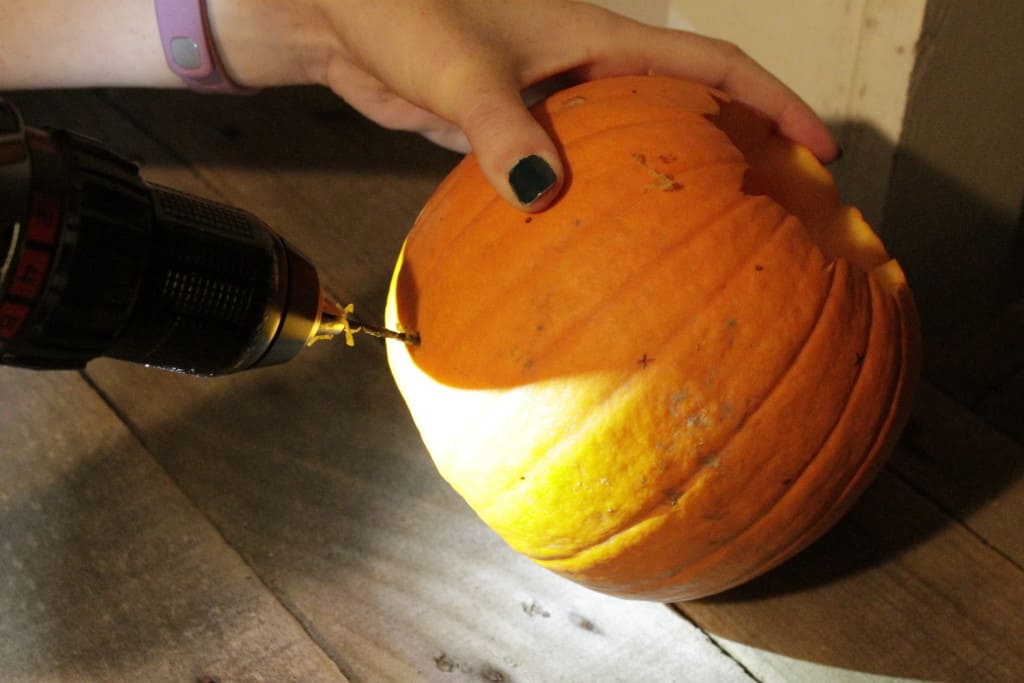 Trying New Ways to Carve Pumpkins - Charleston Crafted