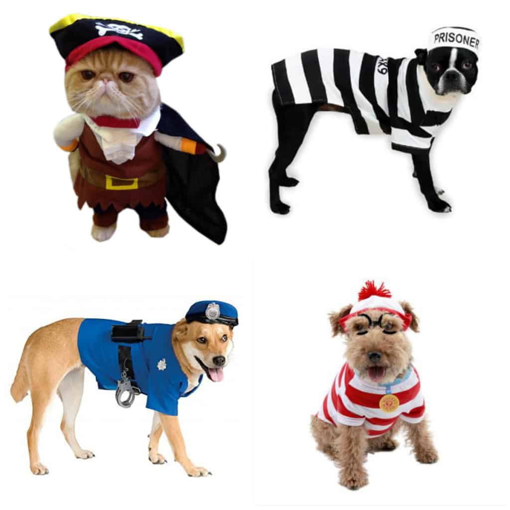 pets as people halloween costumes