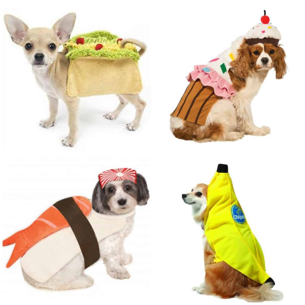 pets in food halloween costumes