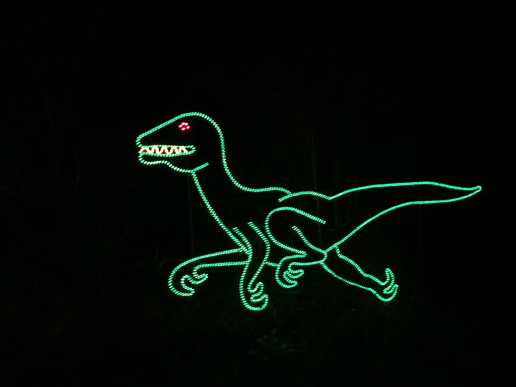 Charleston Holiday Festival of Lights