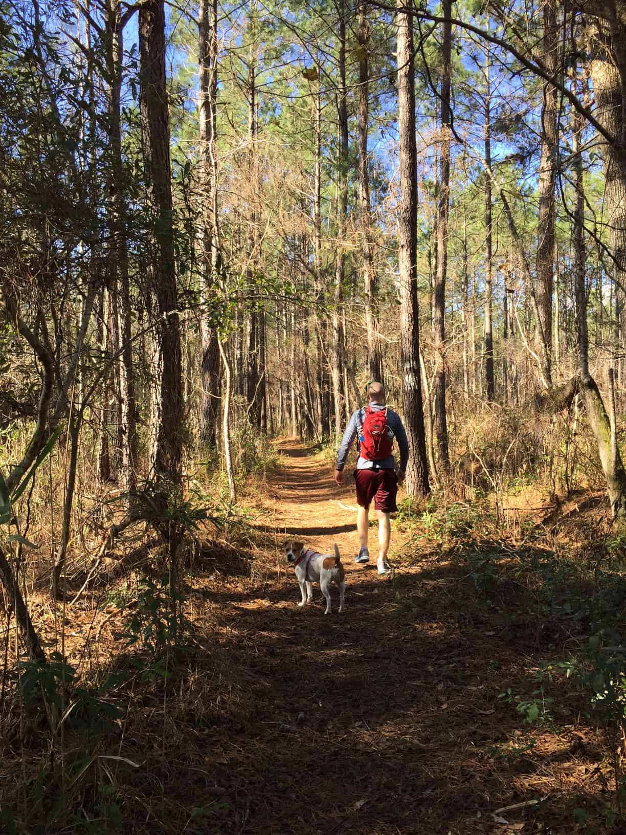 Francis Marion Swamp Fox Trail - Charleston Crafted