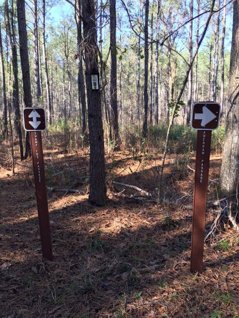 Francis Marion Swamp Fox Trail - Charleston Crafted