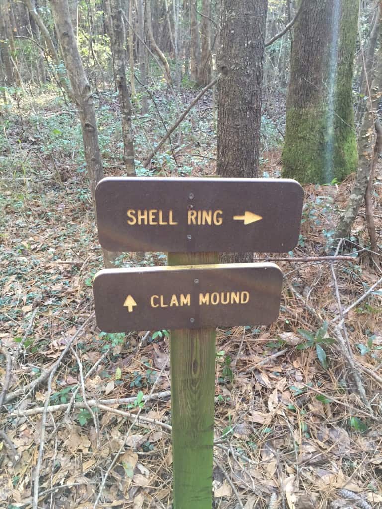 Francis Marion National Forest Sewee Shell Ring Trail - Charleston Crafted