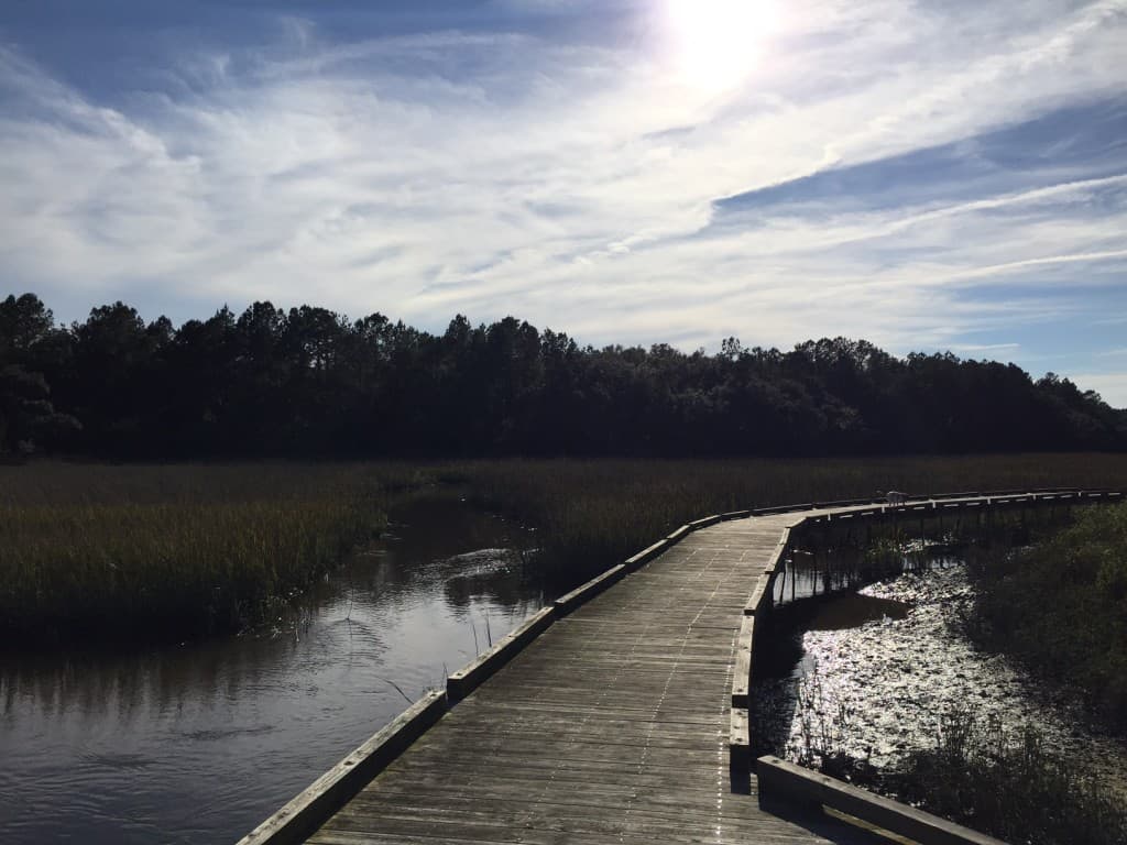 Francis Marion National Forest Sewee Shell Ring Trail - Charleston Crafted