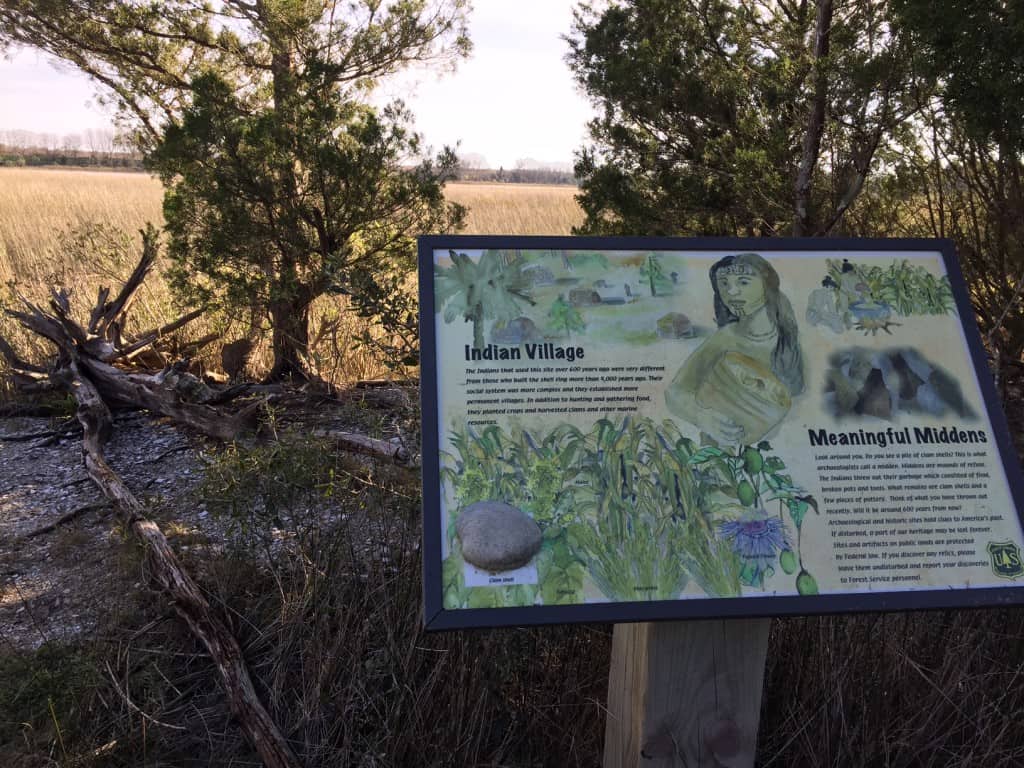 Francis Marion National Forest Sewee Shell Ring Trail - Charleston Crafted