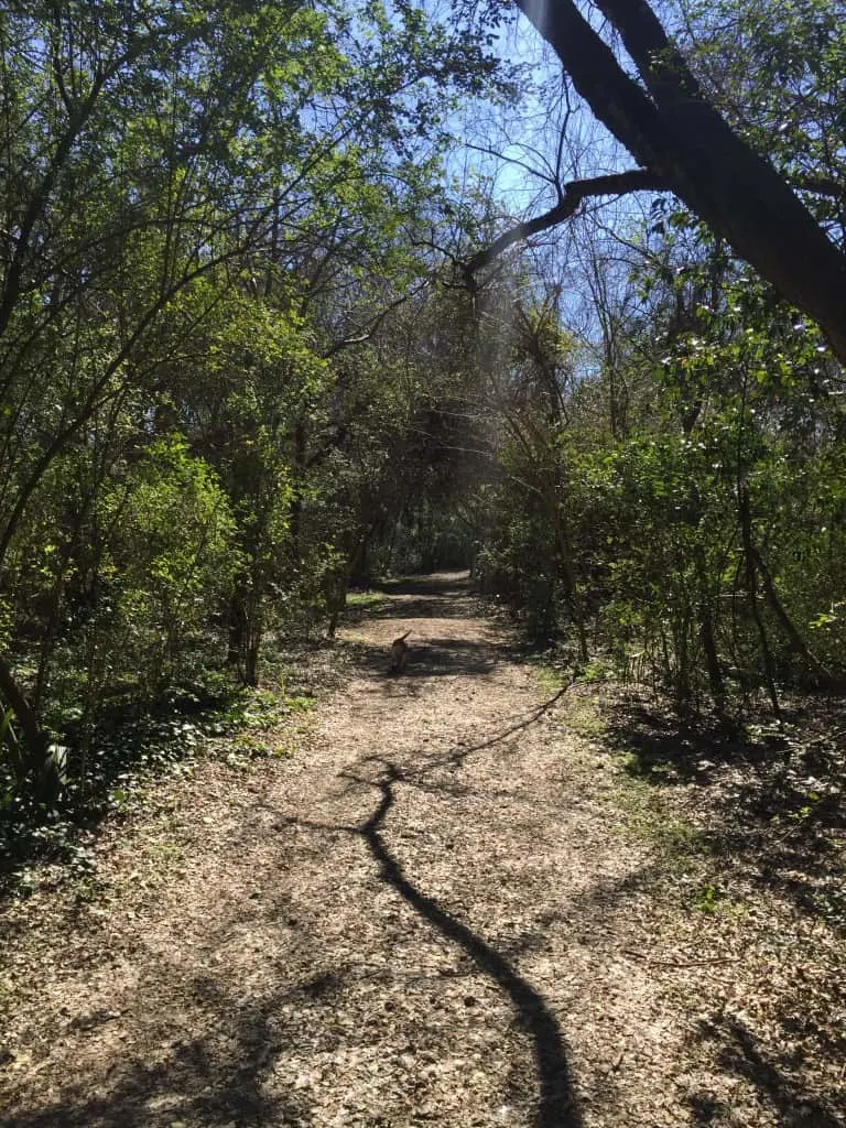 Patriot's Point Nature Trail - Charleston Crafted