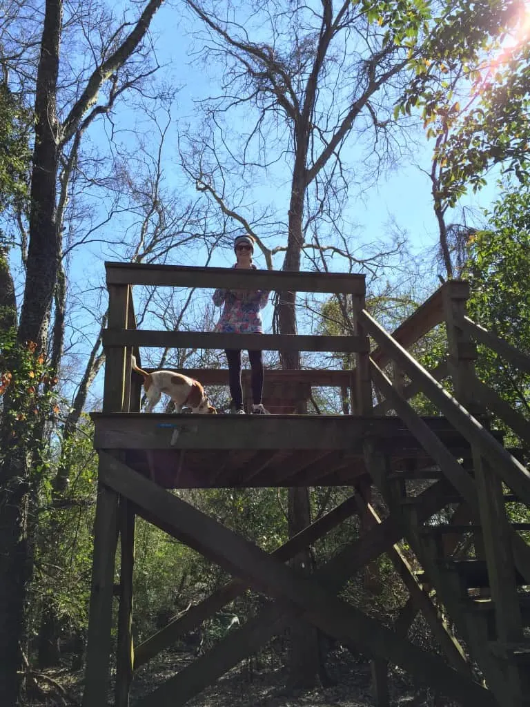 Patriot's Point Nature Trail - Charleston Crafted