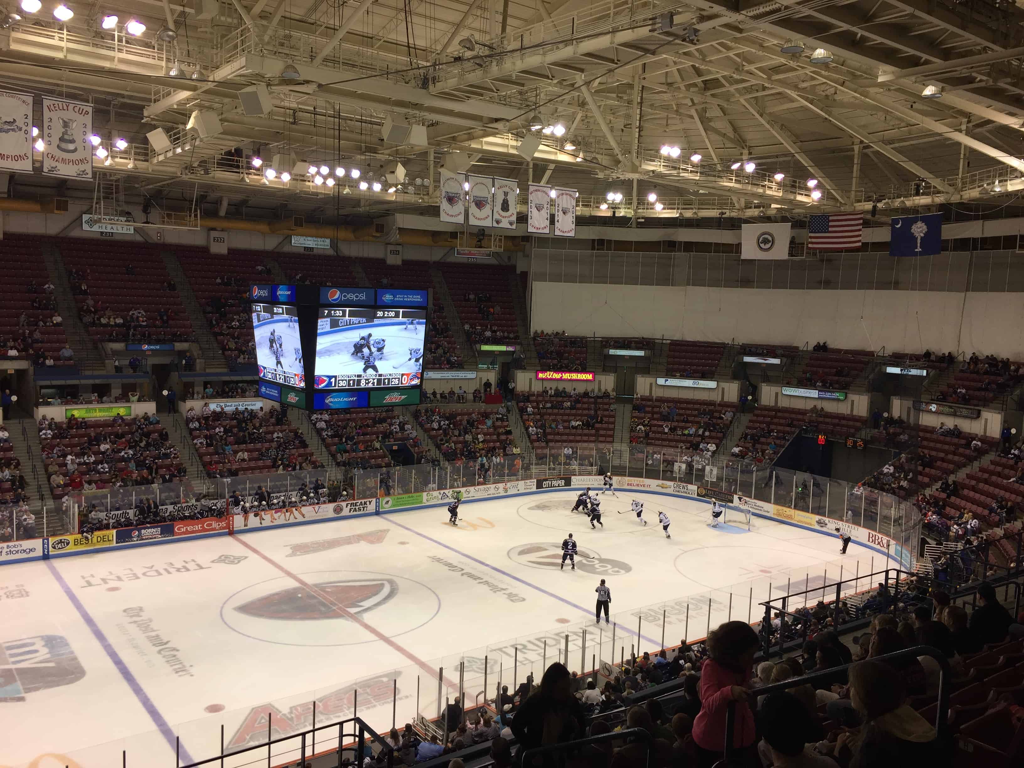 Stingrays Hockey - Charleston Crafted