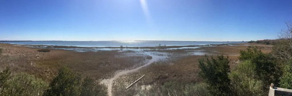 Patriot's Point Nature Trail - Charleston Crafted