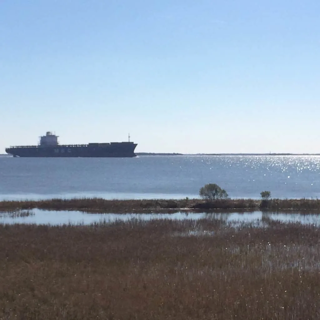 Patriot's Point Nature Trail - Charleston Crafted