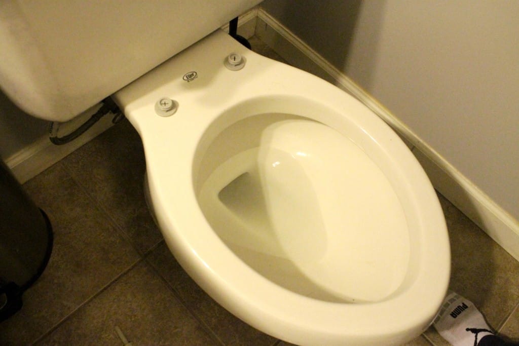 How to replace a toilet seat - Charleston Crafted