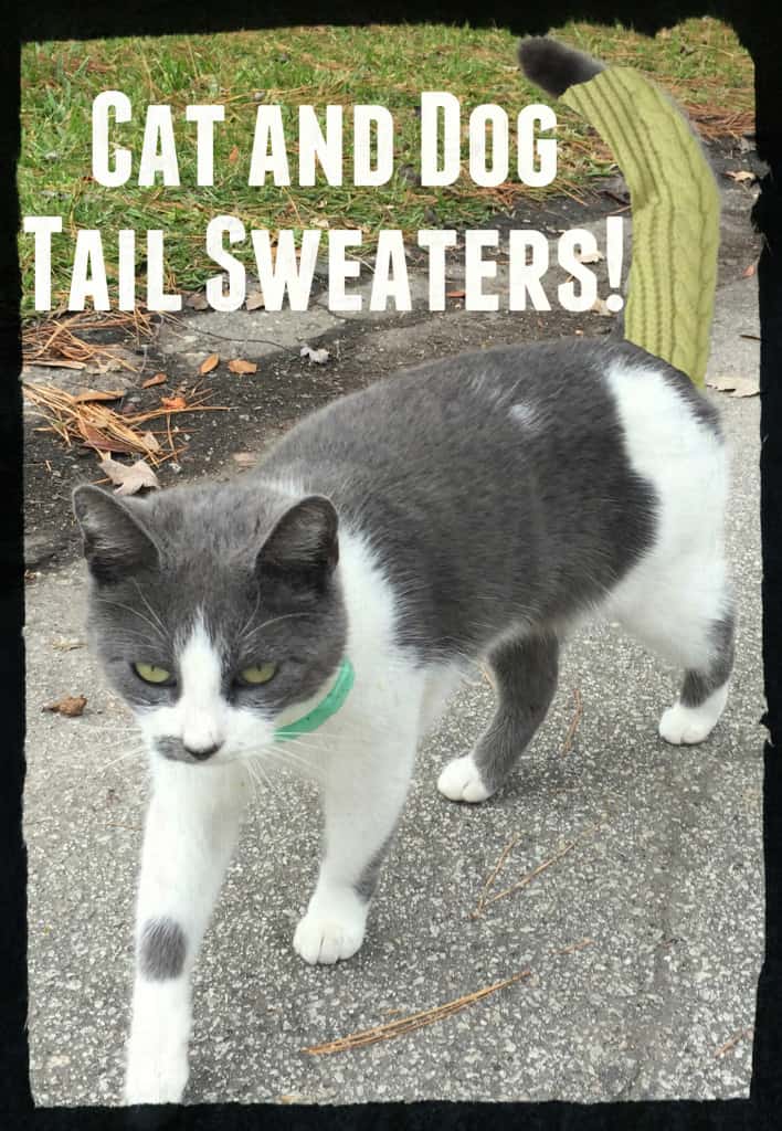 Cat and Dog Tail Sweaters - Charleston Crafted