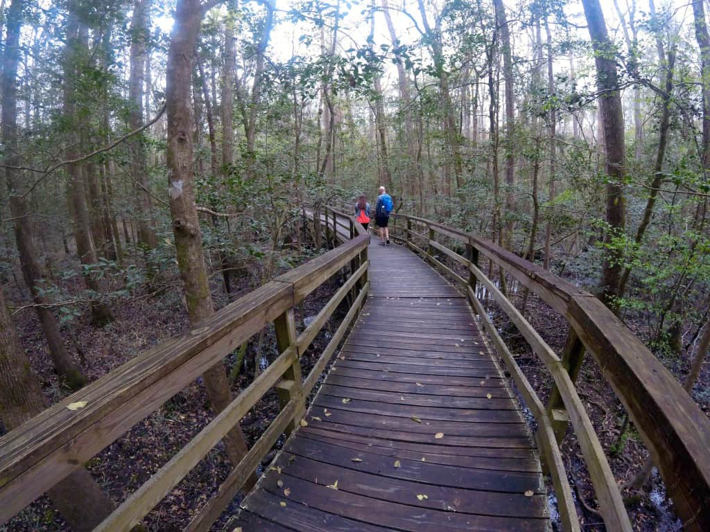 Congaree National Park - Charleston Crafted