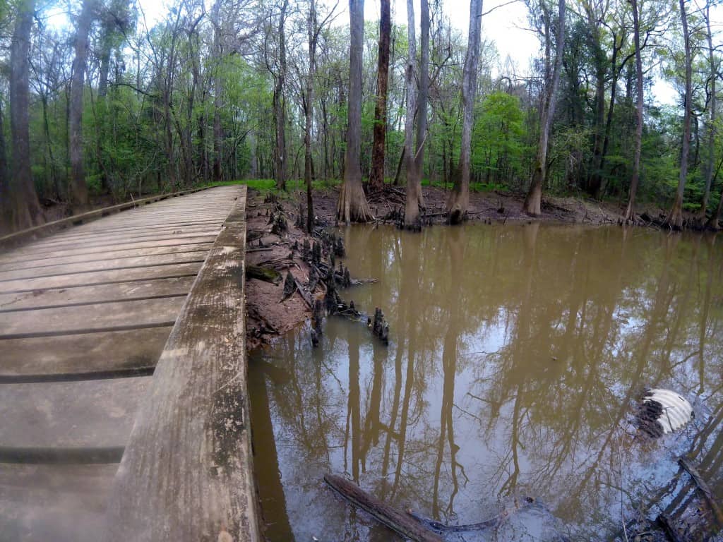 Congaree National Park - Charleston Crafted