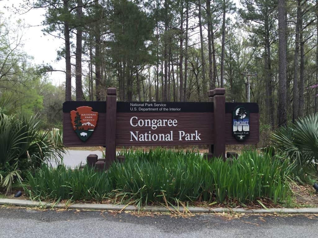 Congaree National Park - Charleston Crafted