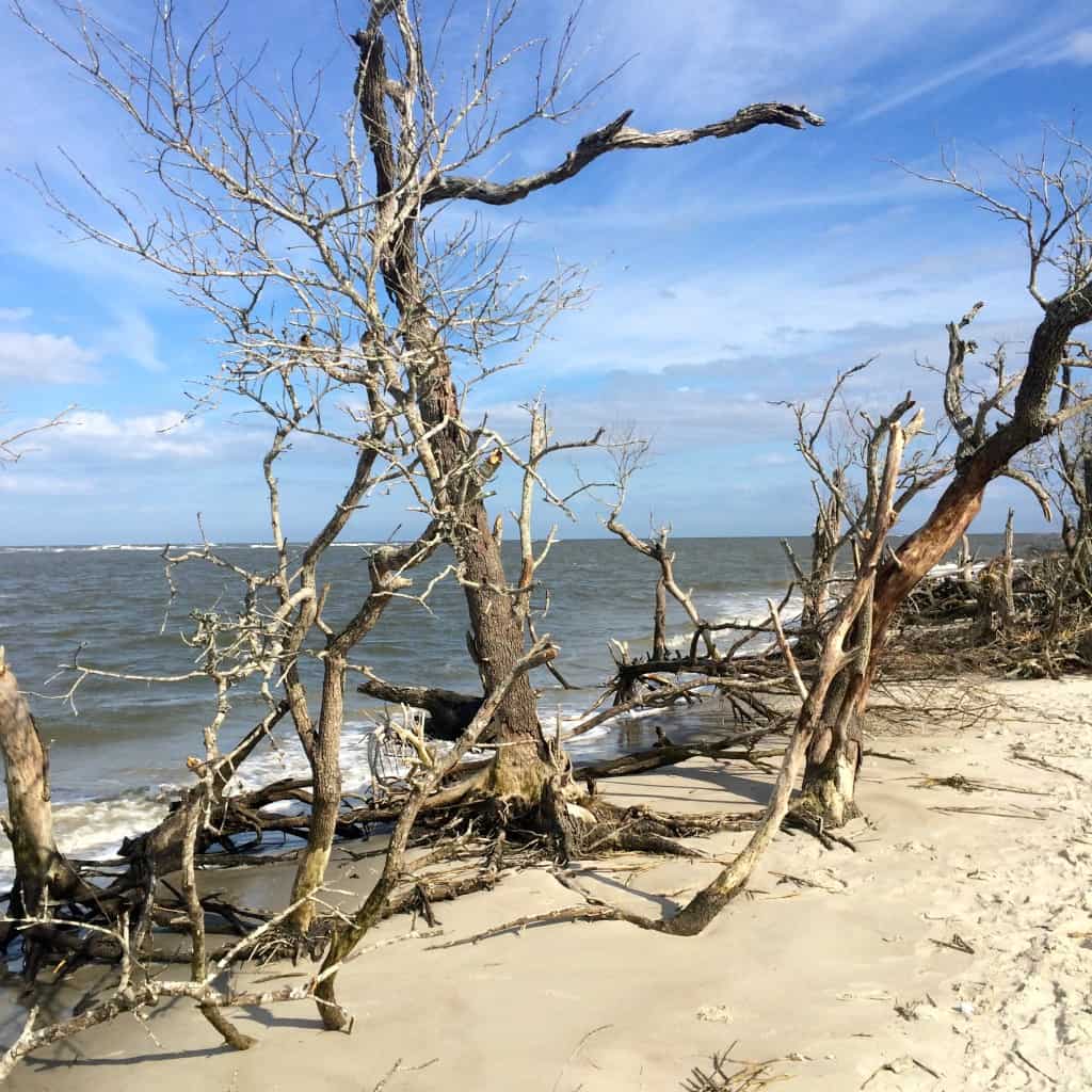 Morris Island Lighthouse - Charleston Crafted