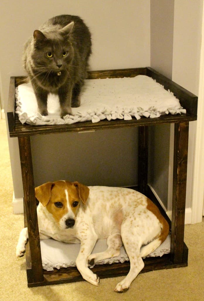 Pet Bed Love Bunks - Charleston Crafted