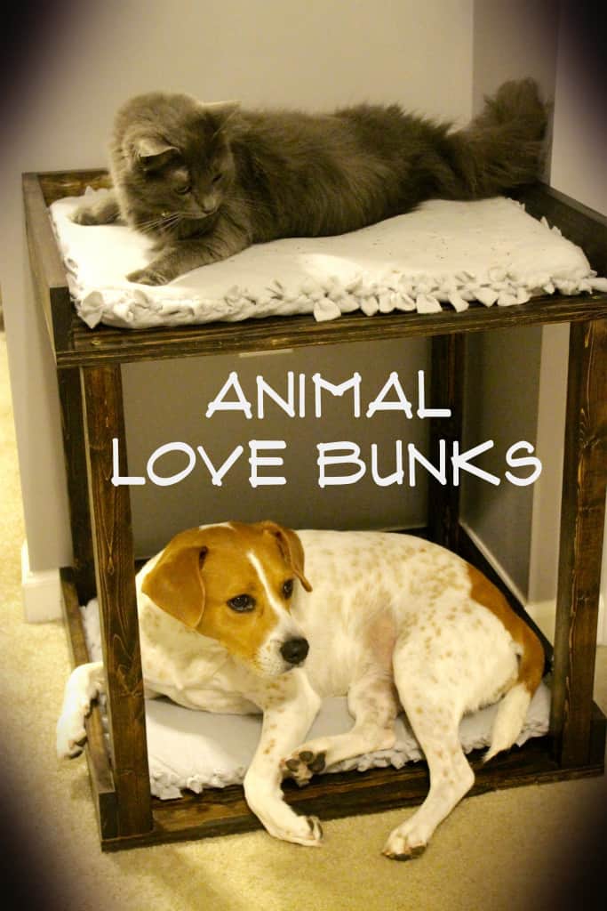 Pet Bed Love Bunks - Charleston Crafted