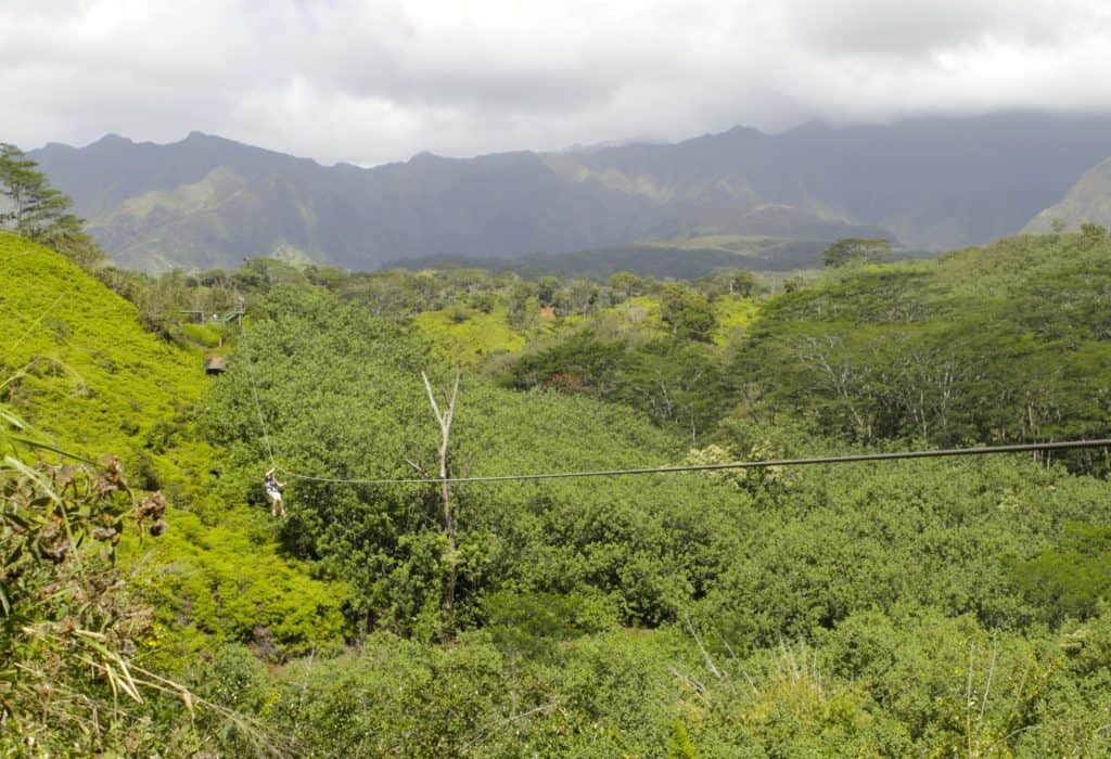 Kauai Backcountry Adventures Ziplining - Charleston Crafted