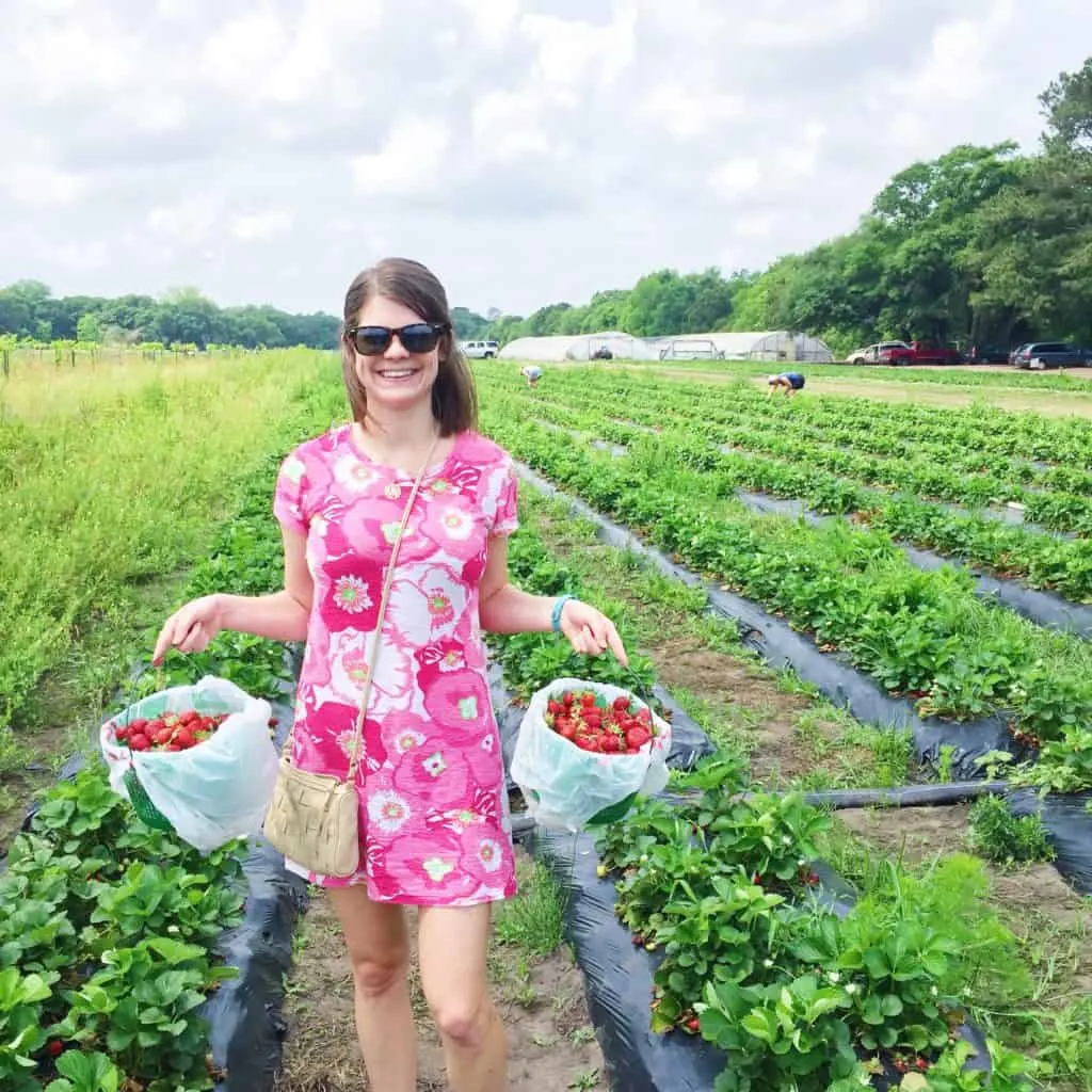 101 in 1001: Strawberry Picking (for my birthday!)