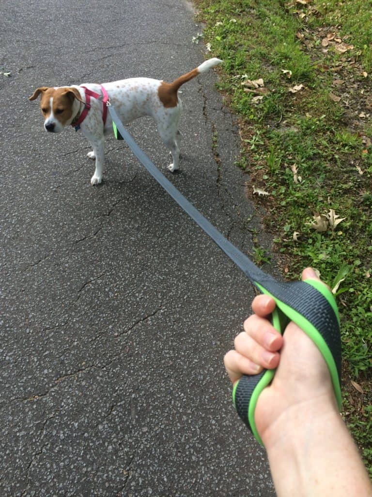 Mighty Paw HandleX2 Dog Leash - Charleston Crafted