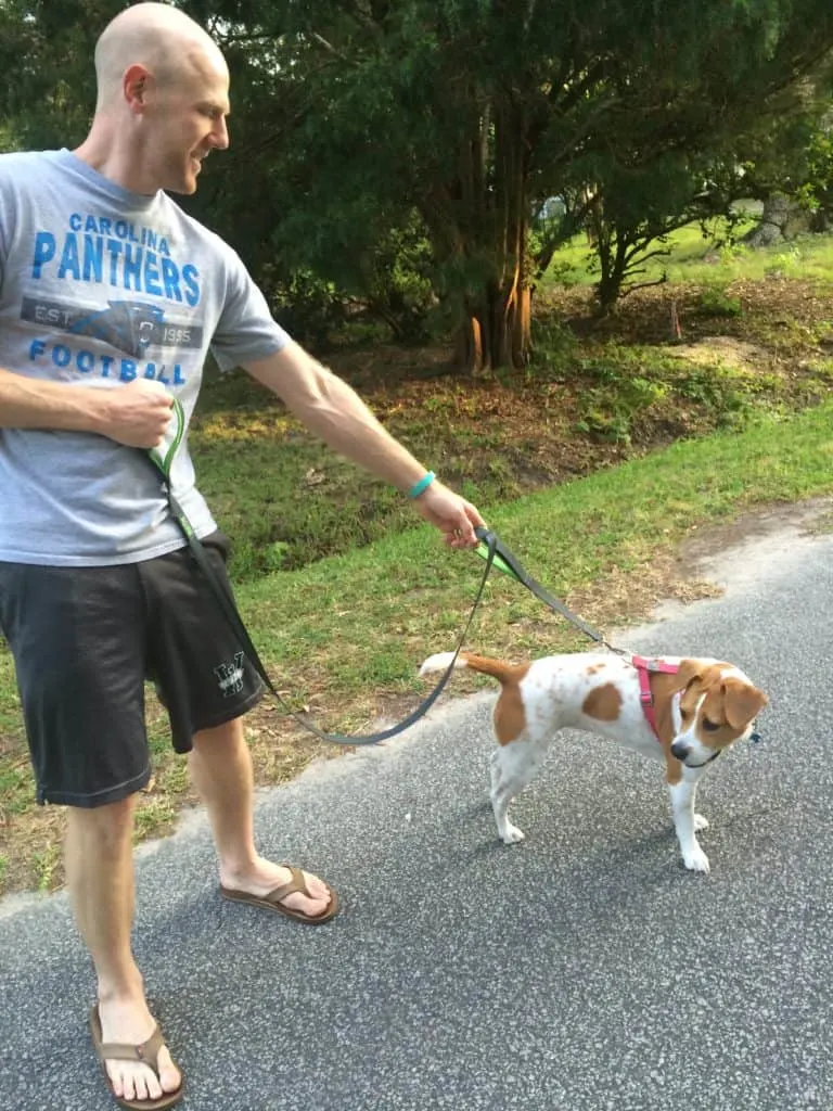 Mighty Paw HandleX2 Dog Leash - Charleston Crafted