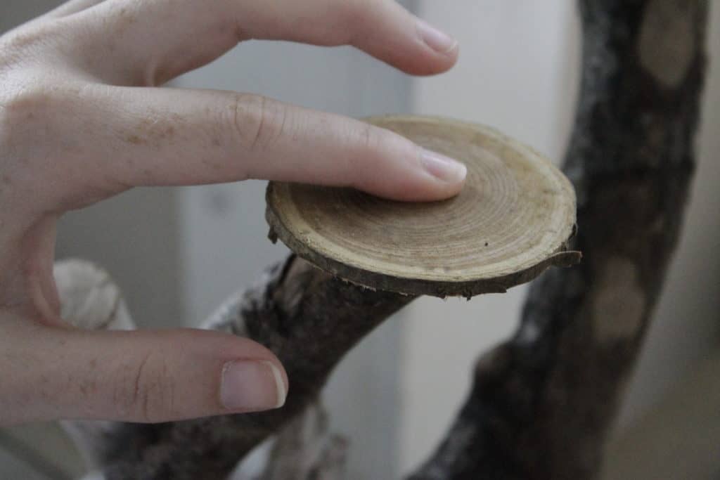 DIY Driftwood Candle Centerpiece- Charleston Crafted