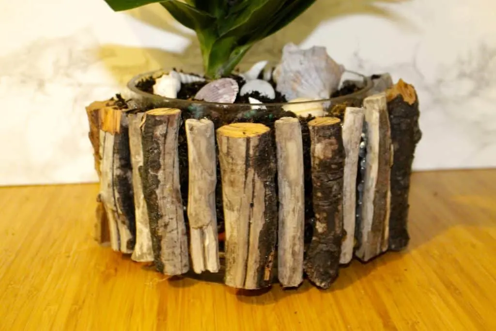 Tropical DIY Driftwood Plant Pot Update - Charleston Crafted