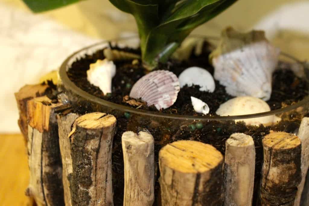 Tropical DIY Driftwood Plant Pot Update - Charleston Crafted