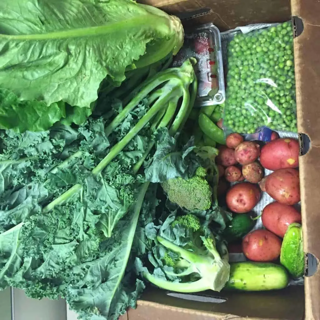 Spring Summer CSA Gruber Farms Recap - Charleston Crafted