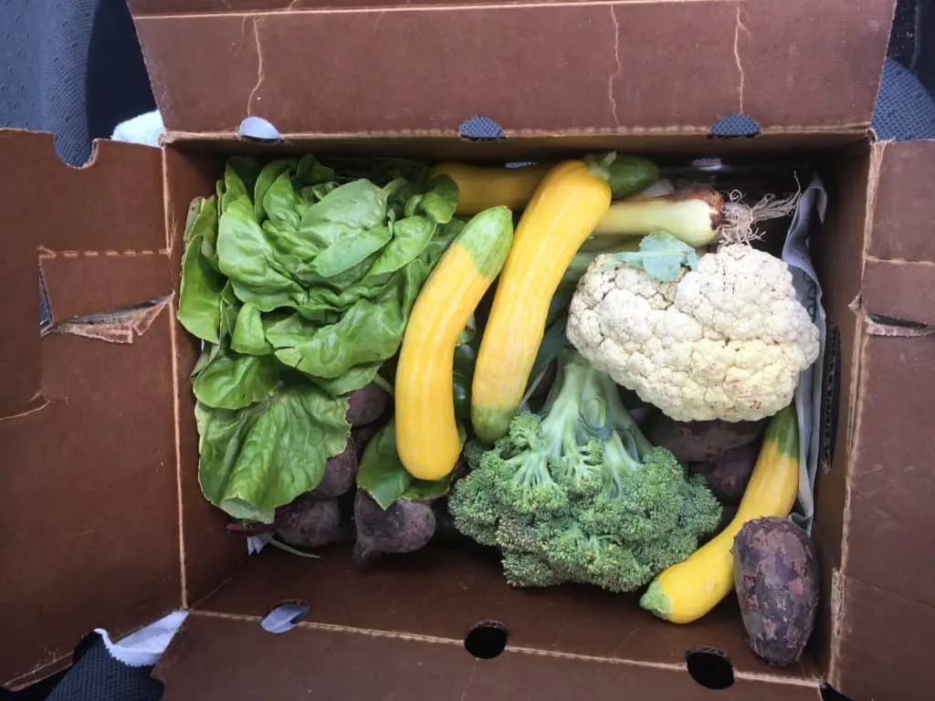 Spring Summer CSA Gruber Farms Recap - Charleston Crafted