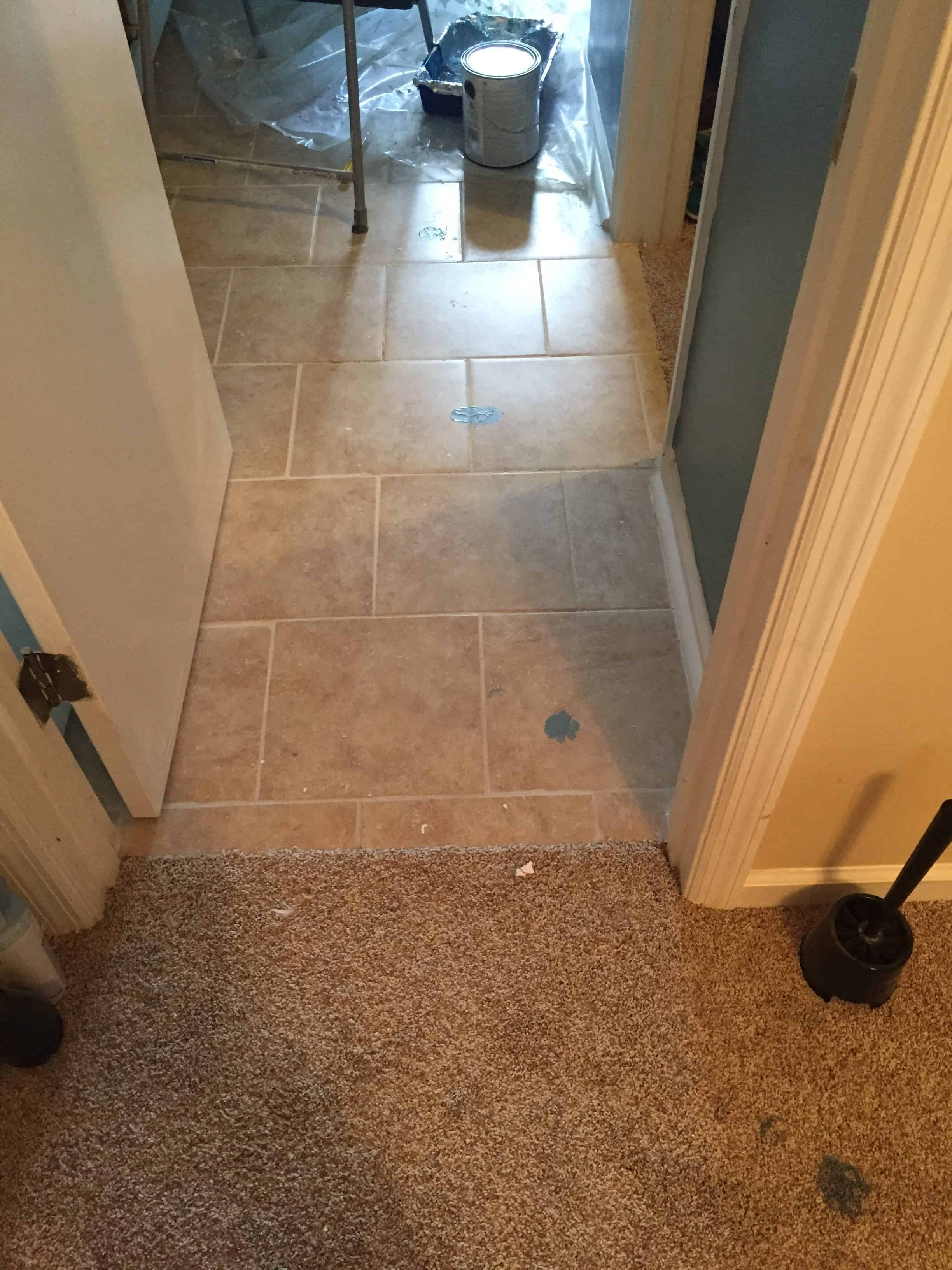 Homeowner Fail: How to get Dried Paint off of Carpet