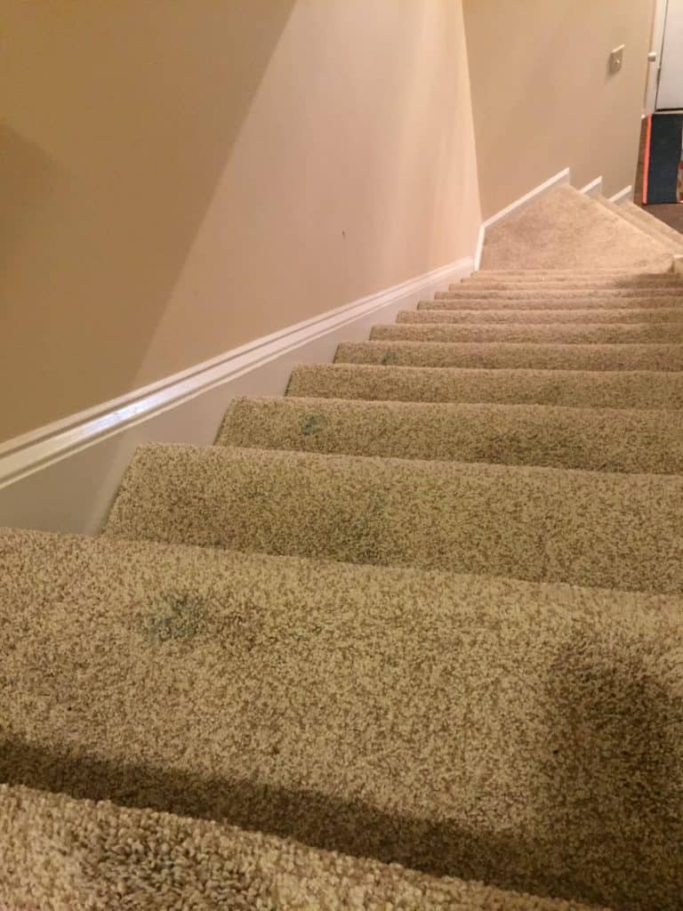 how to get dried paint out of carpet - charleston crafted