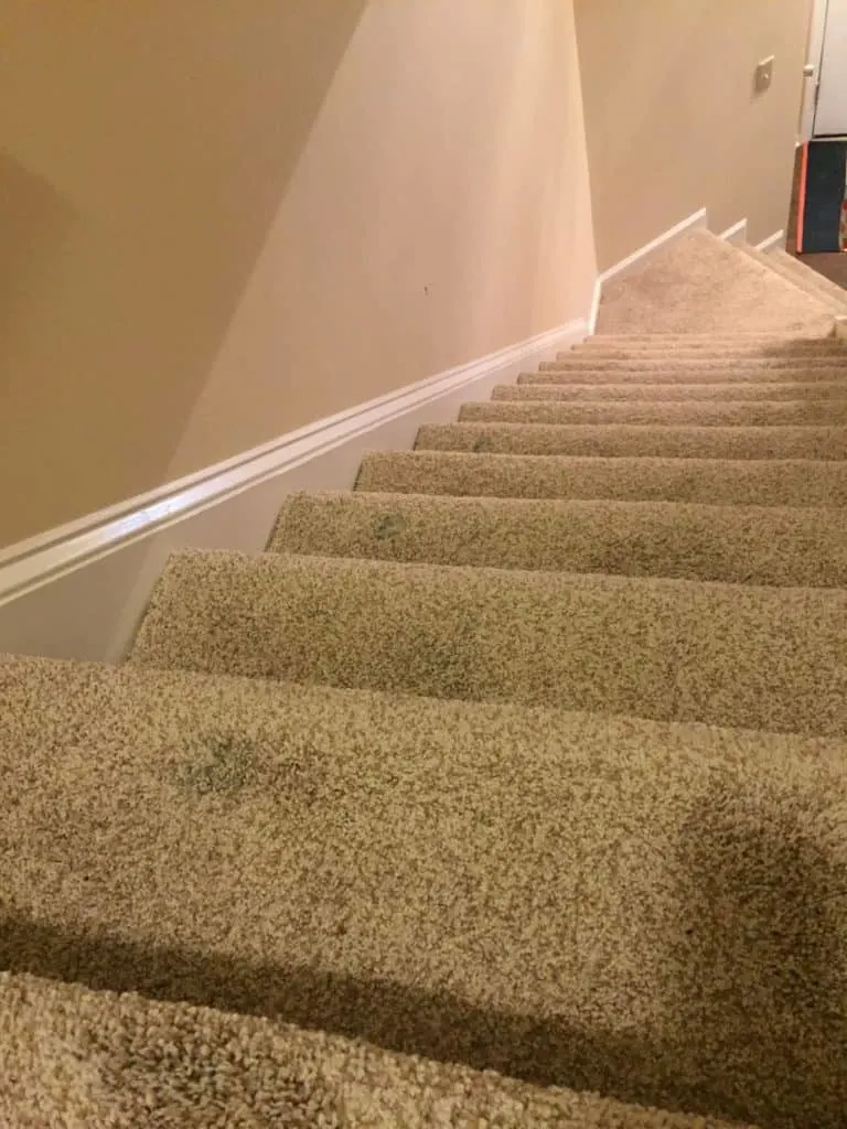 how to get dried paint out of carpet - charleston crafted