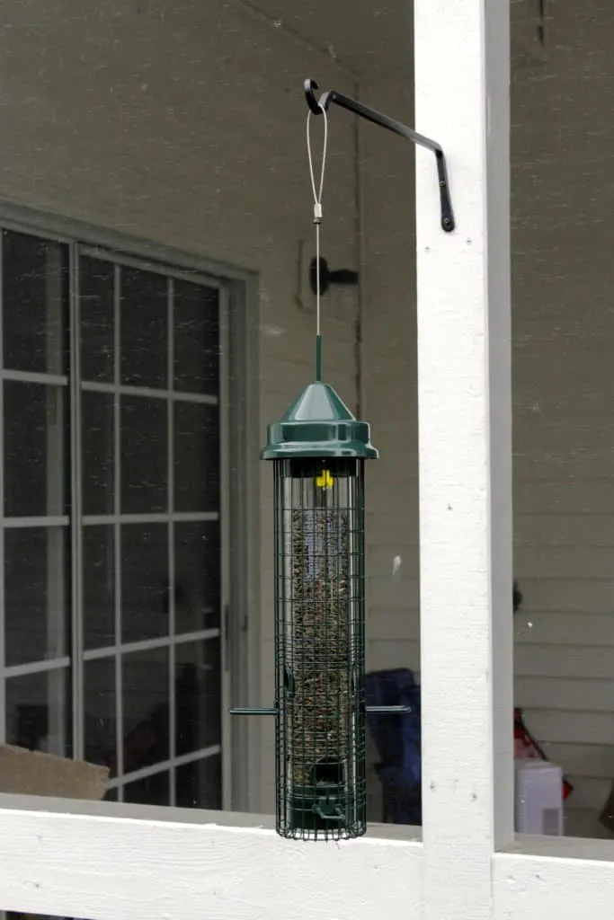 New Squirrel Proof Bird Feeder - Charleston Crafted