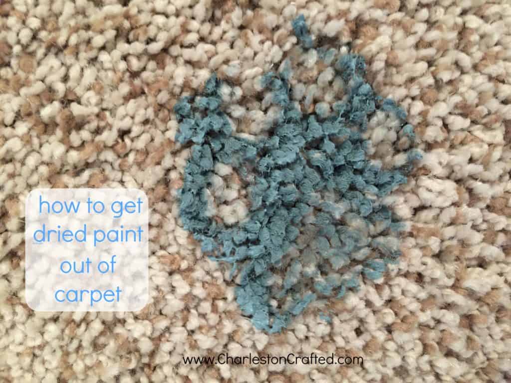 how to get dried paint out of carpet - charleston crafted