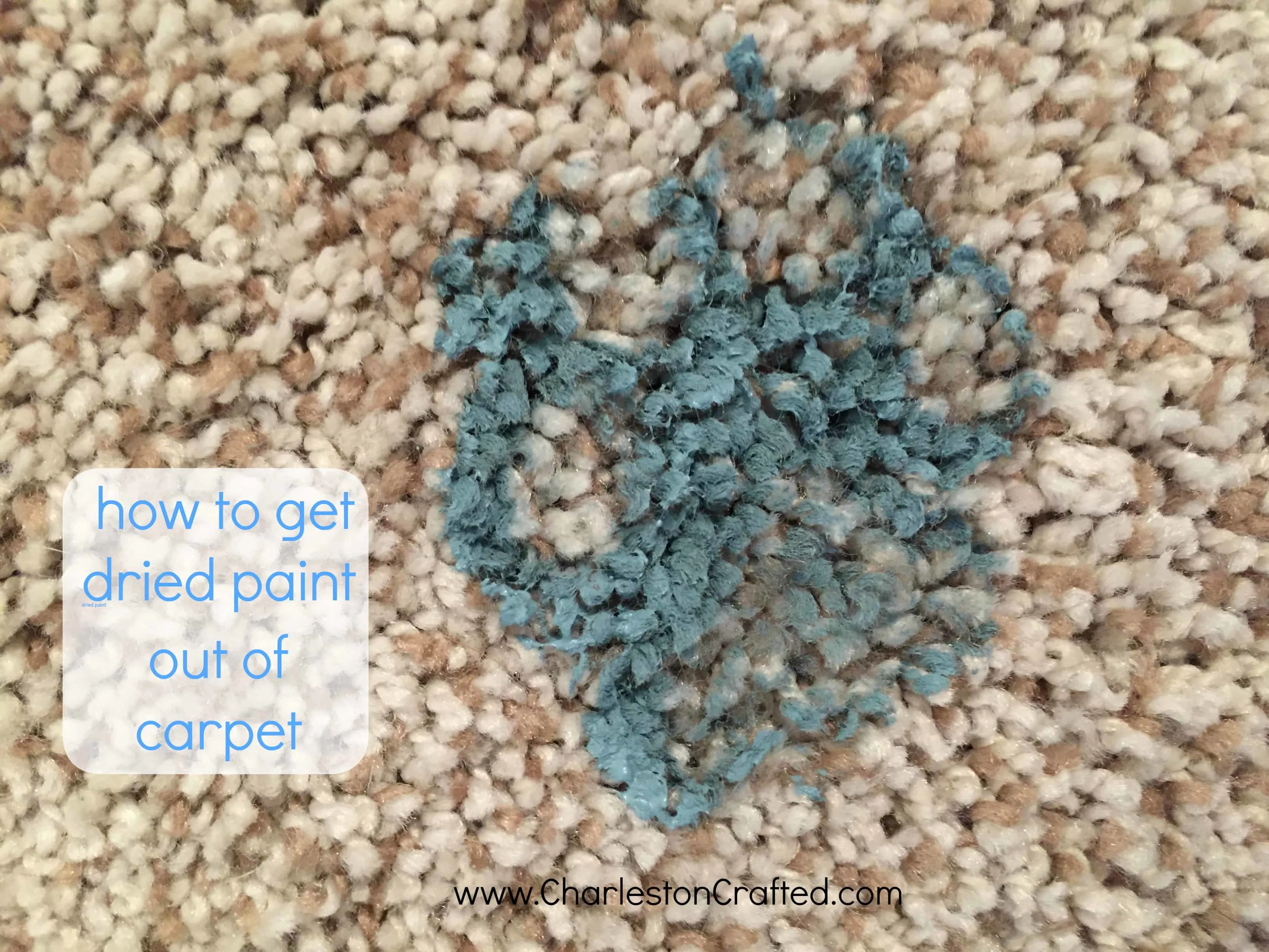 how to get dried paint out of carpet - charleston crafted