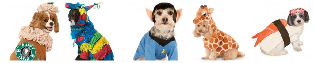 50 Halloween Pet Costumes under $20 via Amazon Prime - Charleston Crafted