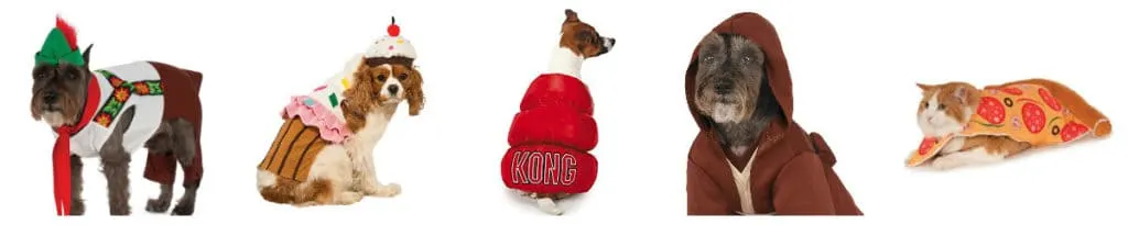 50 Halloween Pet Costumes under $20 via Amazon Prime - Charleston Crafted