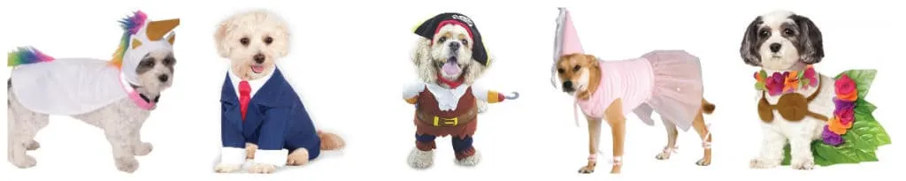 50 Halloween Pet Costumes under $20 via Amazon Prime - Charleston Crafted