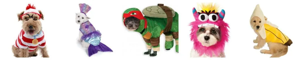 50 Halloween Pet Costumes under $20 via Amazon Prime - Charleston Crafted