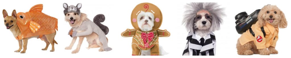 50 Halloween Pet Costumes under $20 via Amazon Prime - Charleston Crafted