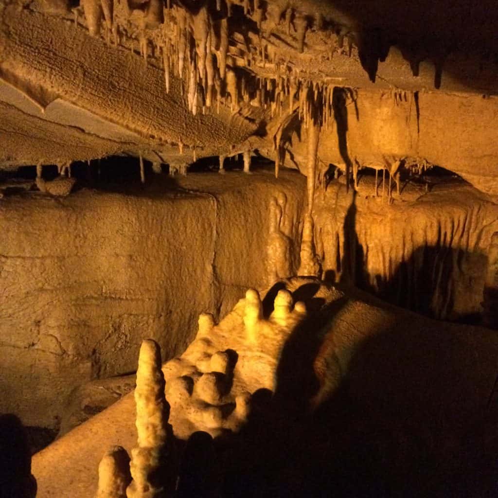 Mammoth Cave National Park - Charleston Crafted