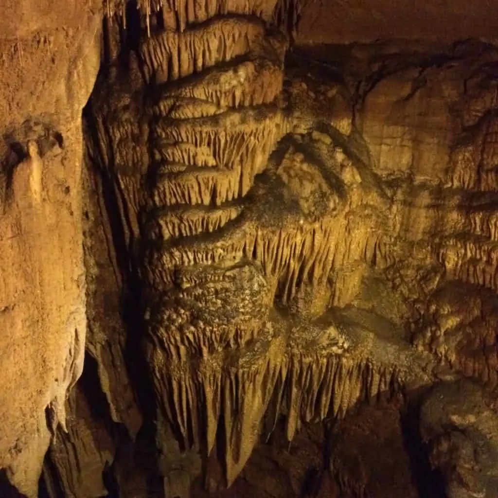 Mammoth Cave National Park - Charleston Crafted