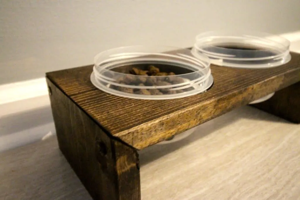 DIY Pet Feeder - Charleston Crafted