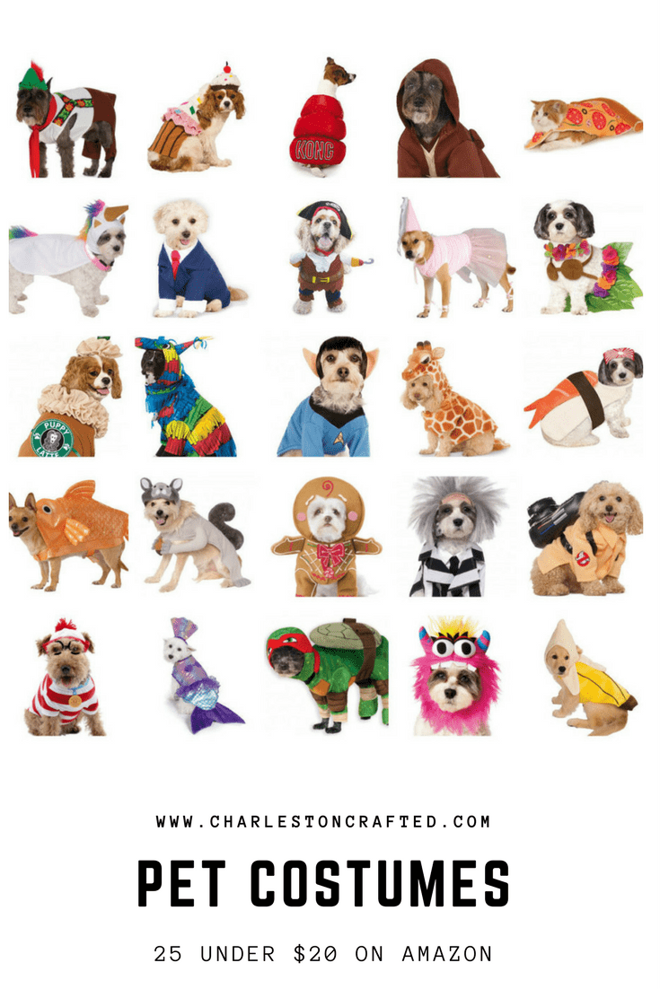 25 pet costumers under $20 cheap on Amazon - perfect for your cat or dog who likes to be hilarious on halloween - via Charleston Crafted