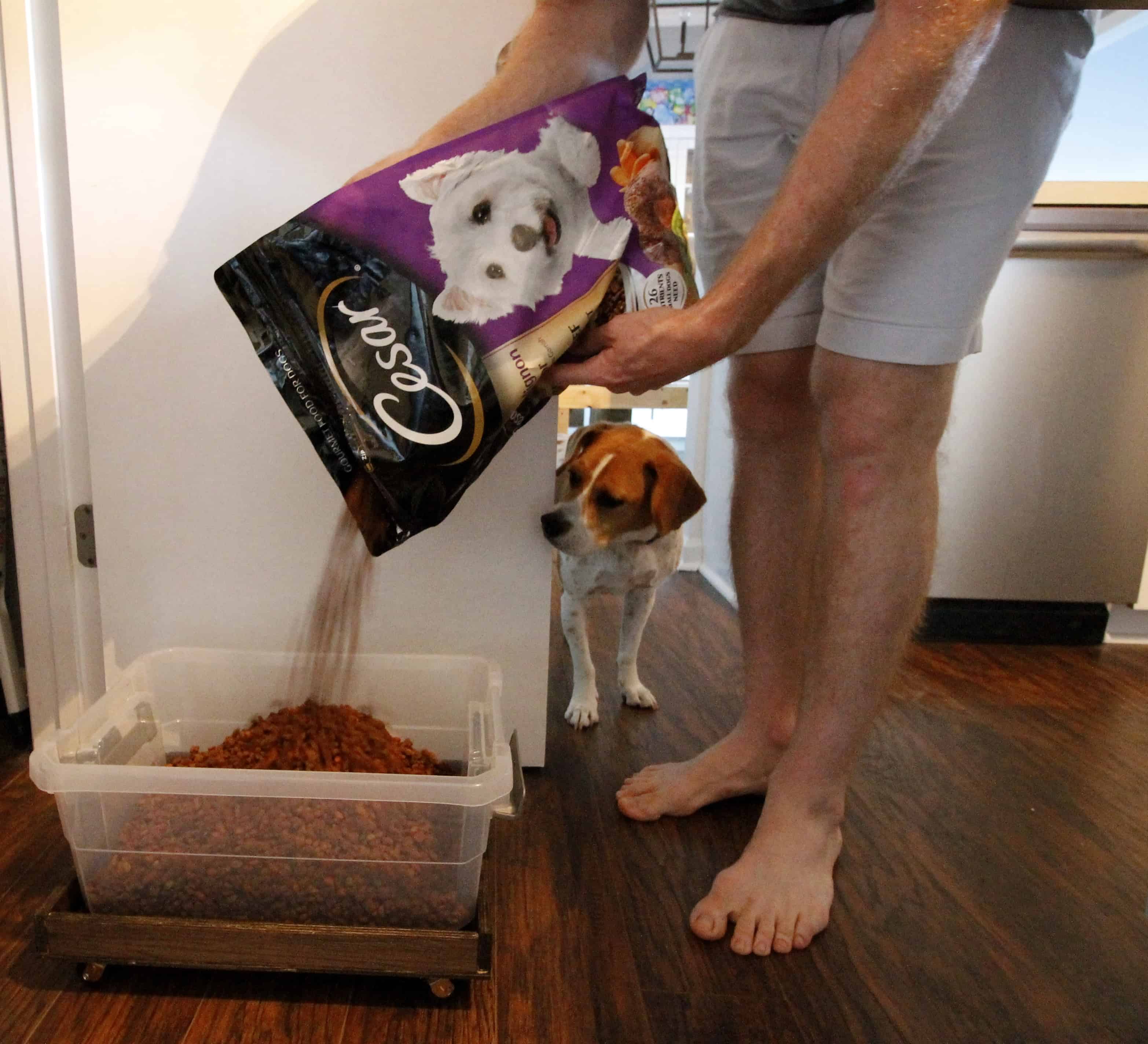 DIY Personalized Dog Food Container (Start with a Galvanized Steel Can!)