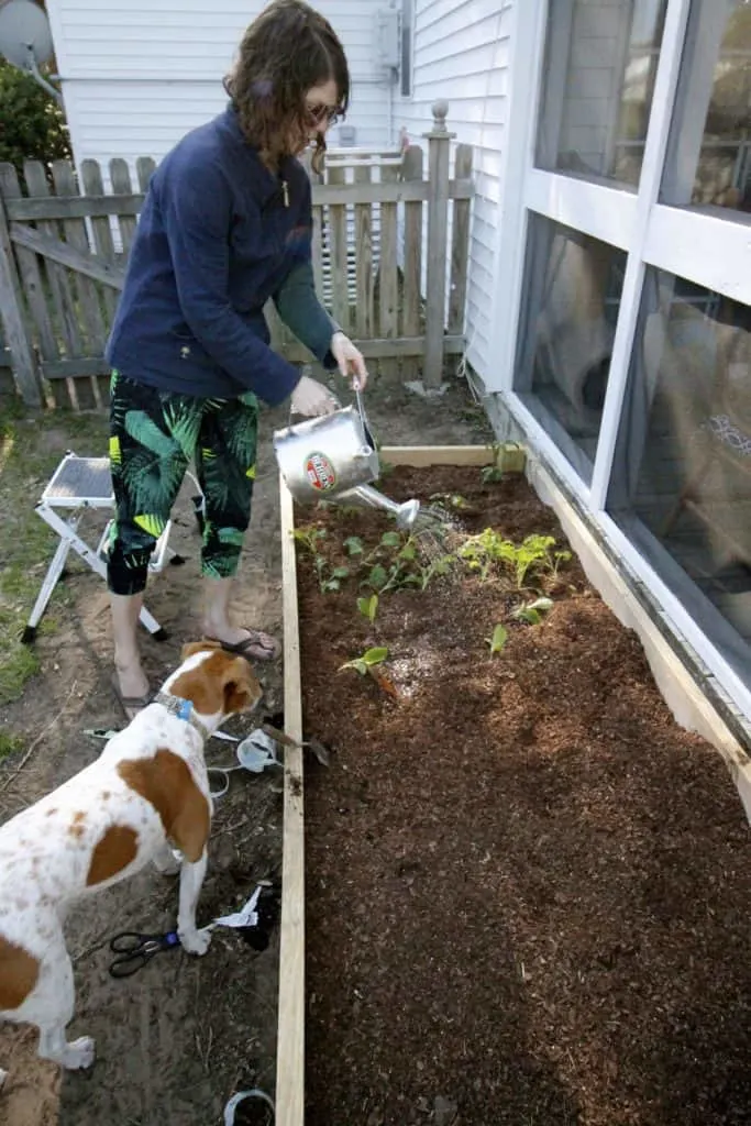 How to build a DIY raised garden bed - Charleston Crafted